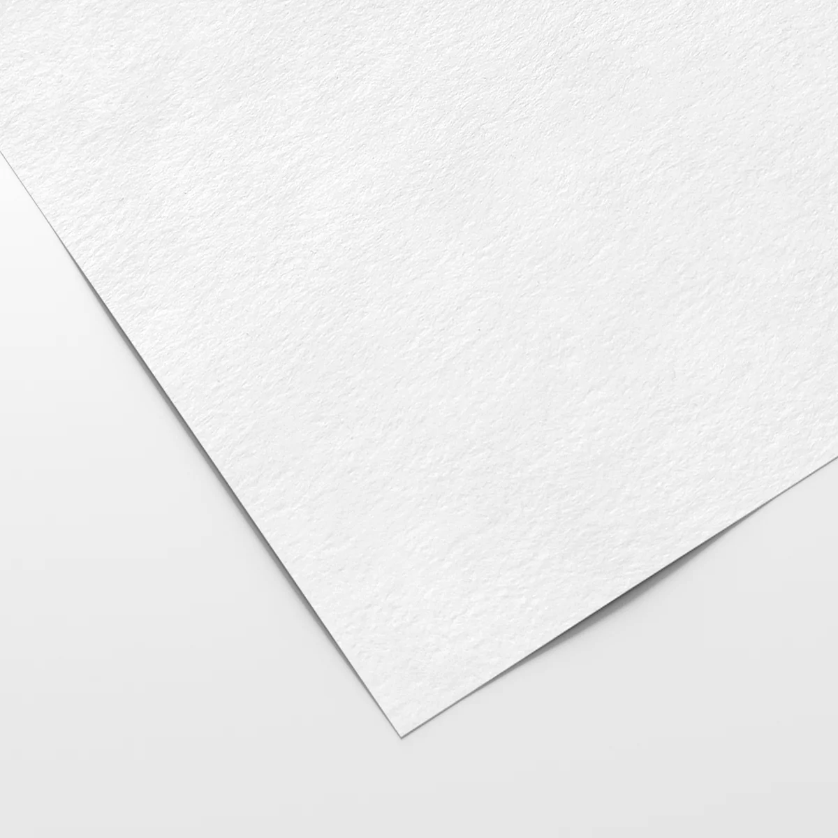 Papier peint STANDARD ECO 