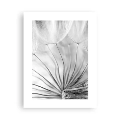 Affiche - Poster - Aigrette avant son envol - 30x40 cm