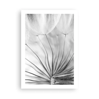 Affiche - Poster - Aigrette avant son envol - 50x70 cm