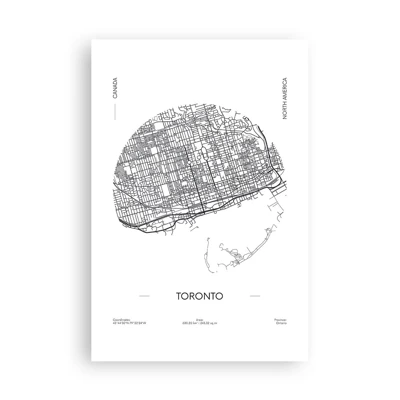 Affiche - Poster - Anatomie de Toronto - 61x91 cm