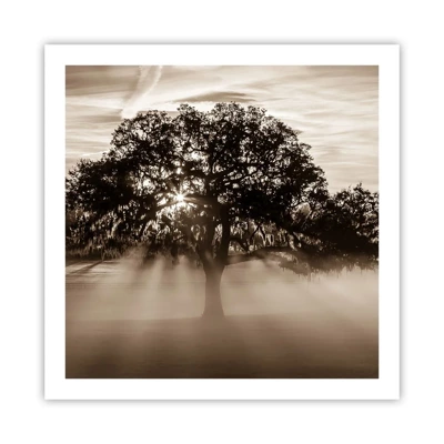 Affiche - Poster - Arbre de bonnes nouvelles - 60x60 cm