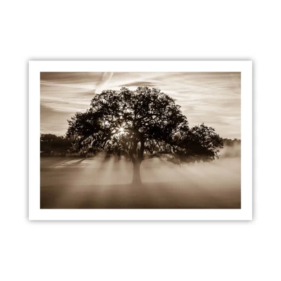 Affiche - Poster - Arbre de bonnes nouvelles - 70x50 cm