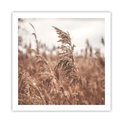 Affiche - Poster - C'est déjà l'automne dans les champs - 60x60 cm