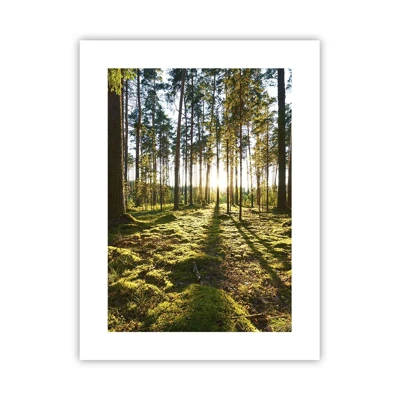 Affiche - Poster - … Derrière les sept forêts - 30x40 cm