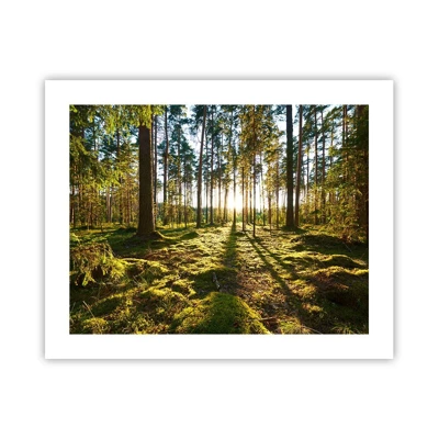 Affiche - Poster - … Derrière les sept forêts - 50x40 cm