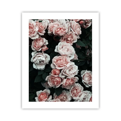 Affiche - Poster - Ensemble de rose - 40x50 cm