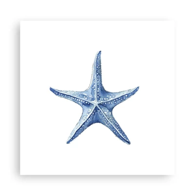 Affiche - Poster - Étoile de mer - 30x30 cm