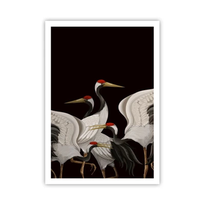 Affiche - Poster - Histoire d'oiseaux - 70x100 cm