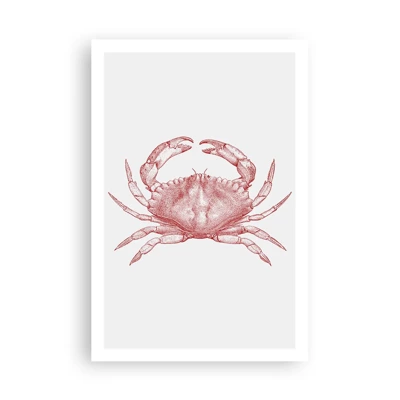 Affiche - Poster - Le crabe des crabes - 61x91 cm
