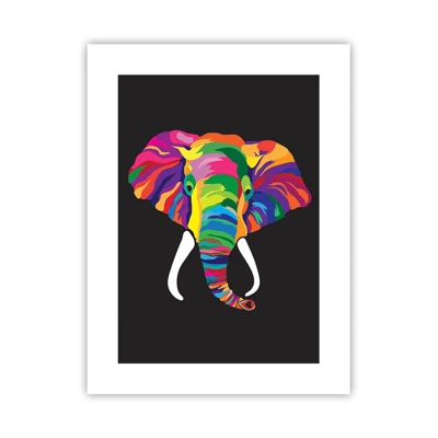 Affiche - Poster - L'éléphant qui aimait se baigner dans un arc-en-ciel - 30x40 cm