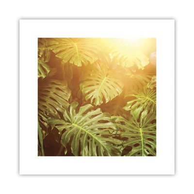 Affiche - Poster - Se fondre dans la verdure - 30x30 cm