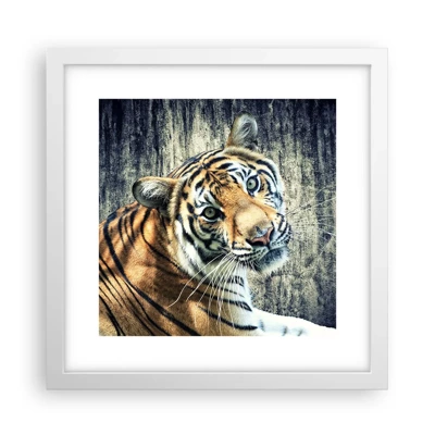 Affiche dans un cadre blanc Arttor 30x30 cm - Portrait dans les flots de lumière - Animaux, Tigre, Afrique, Animal Sauvage, Inde, Pour le salon, Pour la chambre, Blanc, Marron, Horizontal, P2WAC30x30-2464
