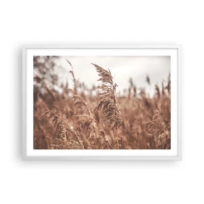 Affiche dans un cadre blanc - Poster - C'est déjà l'automne dans les champs - 70x50 cm