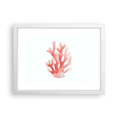 Affiche dans un cadre blanc - Poster - Corail couleur corail - 40x30 cm