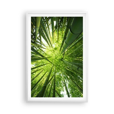 Affiche dans un cadre blanc - Poster - Dans une bambouseraie - 61x91 cm