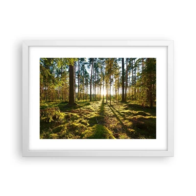 Affiche dans un cadre blanc - Poster - … Derrière les sept forêts - 40x30 cm