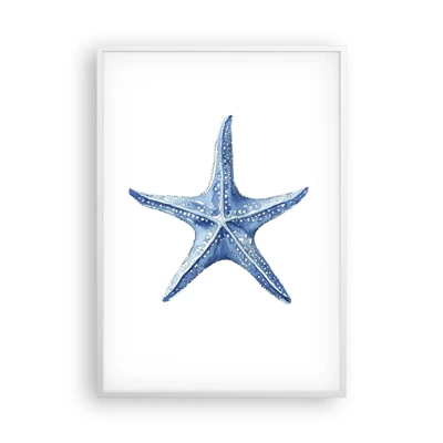Affiche dans un cadre blanc - Poster - Étoile de mer - 70x100 cm