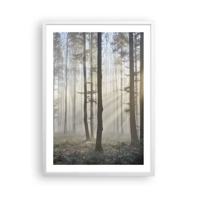 Affiche dans un cadre blanc - Poster - Le brouillard s'est aussi réveillé - 50x70 cm