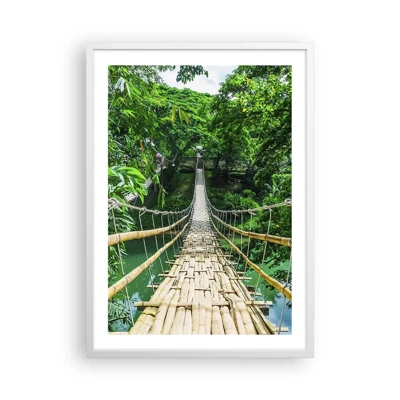 Affiche dans un cadre blanc - Poster - Pont de singe en pleine nature - 50x70 cm