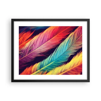 Affiche dans un cadre noir - Poster - Arc-en-ciel de plumes - 50x40 cm