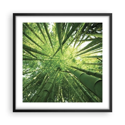 Affiche dans un cadre noir - Poster - Dans une bambouseraie - 50x50 cm
