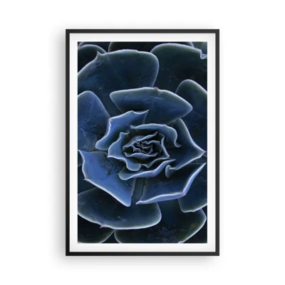 Affiche dans un cadre noir - Poster - Fleur du désert - 61x91 cm