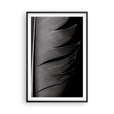 Affiche dans un cadre noir - Poster - La plume – un design magnifique - 61x91 cm