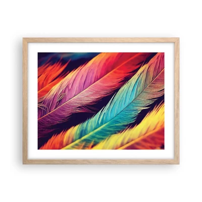 Affiche dans un chêne clair - Poster - Arc-en-ciel de plumes - 50x40 cm