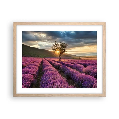 Affiche dans un chêne clair - Poster - Arôme de couleur lilas - 50x40 cm