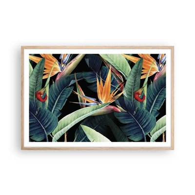 Affiche dans un chêne clair - Poster - Fleurs flamboyantes des tropiques - 91x61 cm