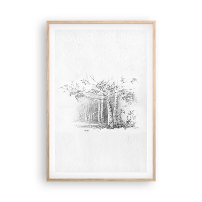 Affiche dans un chêne clair - Poster - Lumière d'une forêt de bouleaux - 61x91 cm