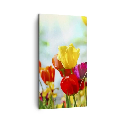 Image sur toile Arttor 45x80 cm - Tulipes, Soleil, Pré, Pour le salon, Pour la chambre, Rouge, Jaune, Vertical, Toiles, PA45x80-2566
