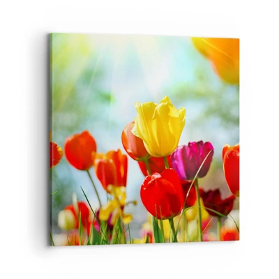 Image sur toile Arttor 70x70 cm - Tulipes, Soleil, Pré, Pour le salon, Pour la chambre, Rouge, Jaune, Horizontal, Toiles, AC70x70-2566