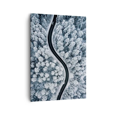 Impression sur toile - Image sur toile - À travers une forêt d'hiver - 50x70 cm