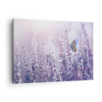 Impression sur toile - Image sur toile - Baiser de papillon - 70x50 cm