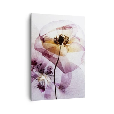 Impression sur toile - Image sur toile - Corps de fleurs transparente - 70x100 cm