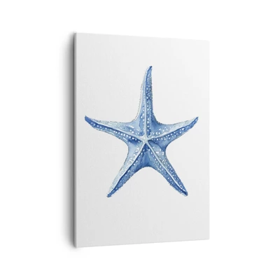 Impression sur toile - Image sur toile - Étoile de mer - 50x70 cm