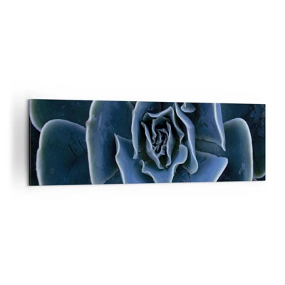 Impression sur toile - Image sur toile - Fleur du désert - 160x50 cm
