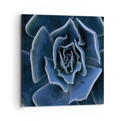 Impression sur toile - Image sur toile - Fleur du désert - 70x70 cm