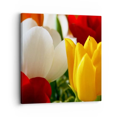 Impression sur toile - Image sur toile - La fièvre des tulipes - 30x30 cm