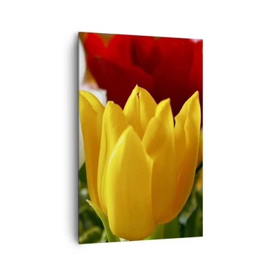 Impression sur toile - Image sur toile - La fièvre des tulipes - 80x120 cm