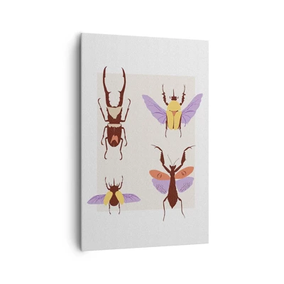 Impression sur toile - Image sur toile - Le monde des insectes - 80x120 cm