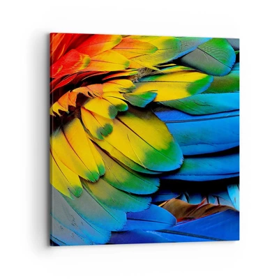 Impression sur toile - Image sur toile - Oiseau de paradis - 70x70 cm