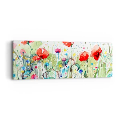 Impression sur toile - Image sur toile - Prairie de fleurs en mai - 90x30 cm