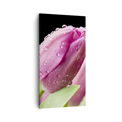 Impression sur toile - Image sur toile - Rêve de lilas dans la rosée - 55x100 cm