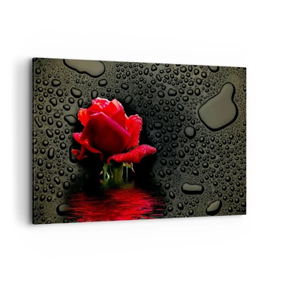 Impression sur toile - Image sur toile - Rouge et noir - 120x80 cm