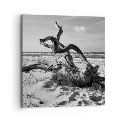 Impression sur toile - Image sur toile - Sculpture marine - 70x70 cm