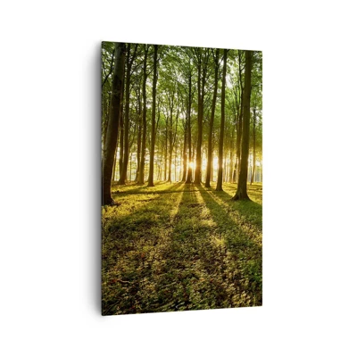 Impression sur toile - Image sur toile - Toutes les photographies de printemps - 80x120 cm