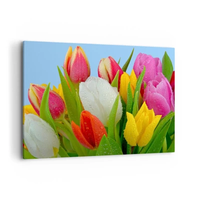 Impression sur toile - Image sur toile - Un arc-en-ciel fleuri en gouttes de rosée - 100x70 cm