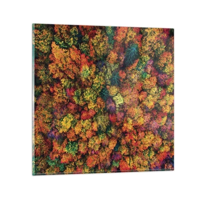 Impression sur verre - Image sur verre - Bouquet d'arbres automnal - 60x60 cm